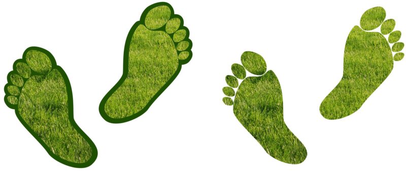 LCA e Carbon footprint